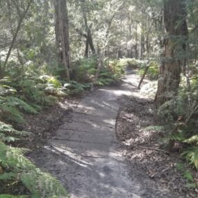 Eden Bike tracks